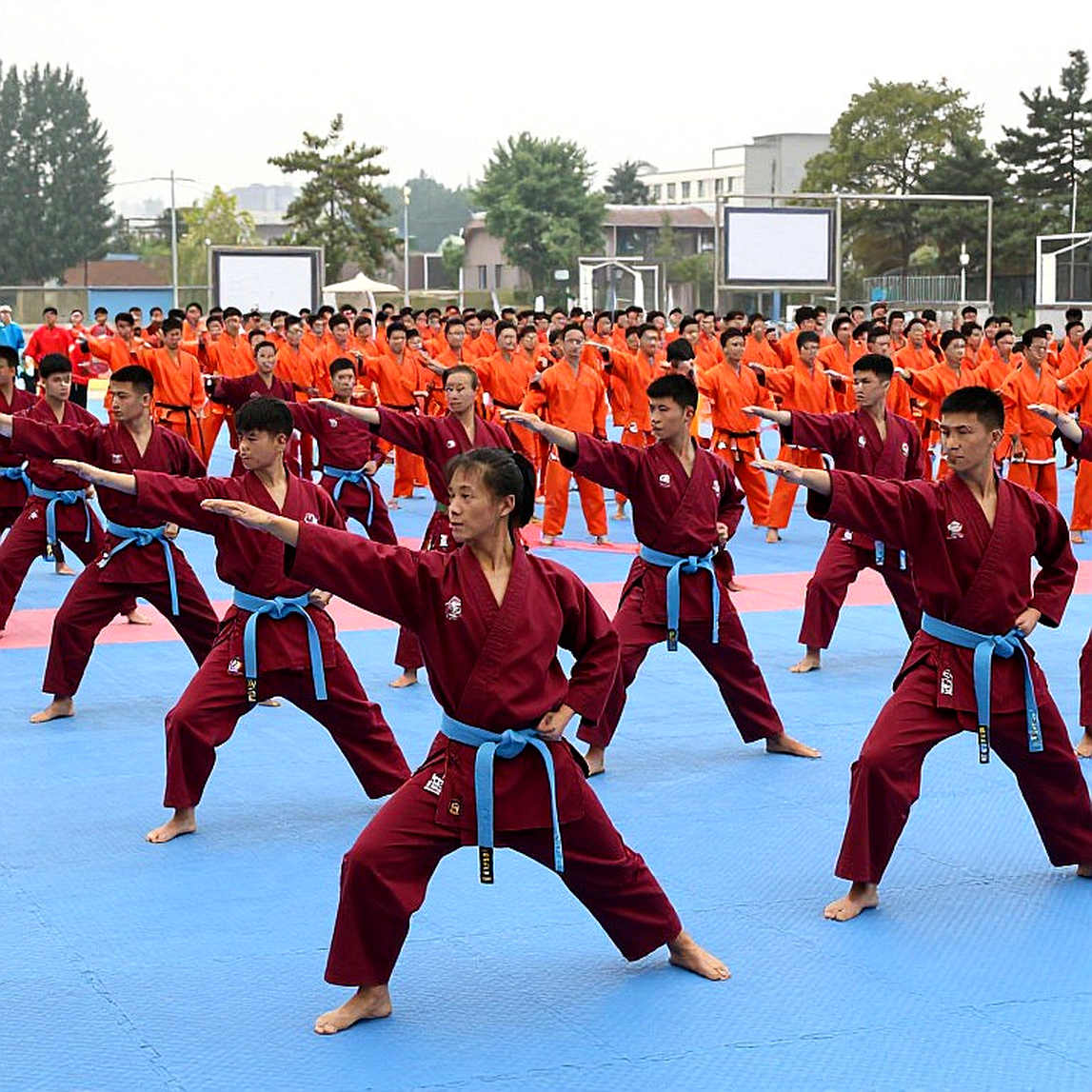 Đằng sau tấm HCV poomsae Chuncheon 2026: cú đổi người và trụ cột hai chu kỳ của đội Việt Nam
